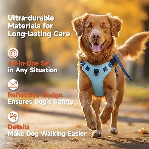 Lulupet No-Pull Dog Harness & Leash Set (Blue, Medium) — view 2