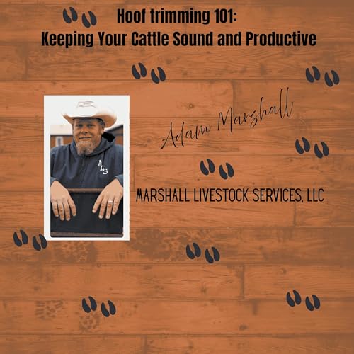 Hoof Trimming 101: Keeping Your Cattle Sound and Productive