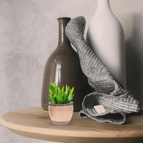 Pots céramique pour succulentes aux styles uniques et design compact - 6