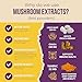 Grateful Earth Mushroom Coffee, Coconut Instant Coffee with Lion’s Mane Mushrooms, Chaga, Turmeric, L-Theanine, Cinnamon, Super Brain Blend For Energy & Immune Support, Dairy & Gluten Free, 20 Packets