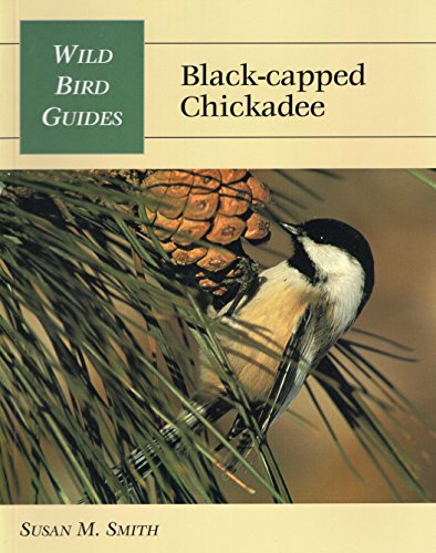 Black-Capped Chickadee Black-Capped Chickadee
