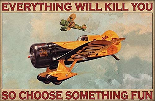 Air Force Airplane Poster Metal tin Sign, Everything Will Kill You, so Choose Something Interesting Chic Retro Art Cabin Club Shop bar Garage Coffee Shop Metal Wall Panel Art Decoration 8x12inch