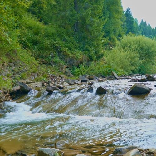 Natural River Ledge for Study &bull; Continuous Waterfall Ambience
