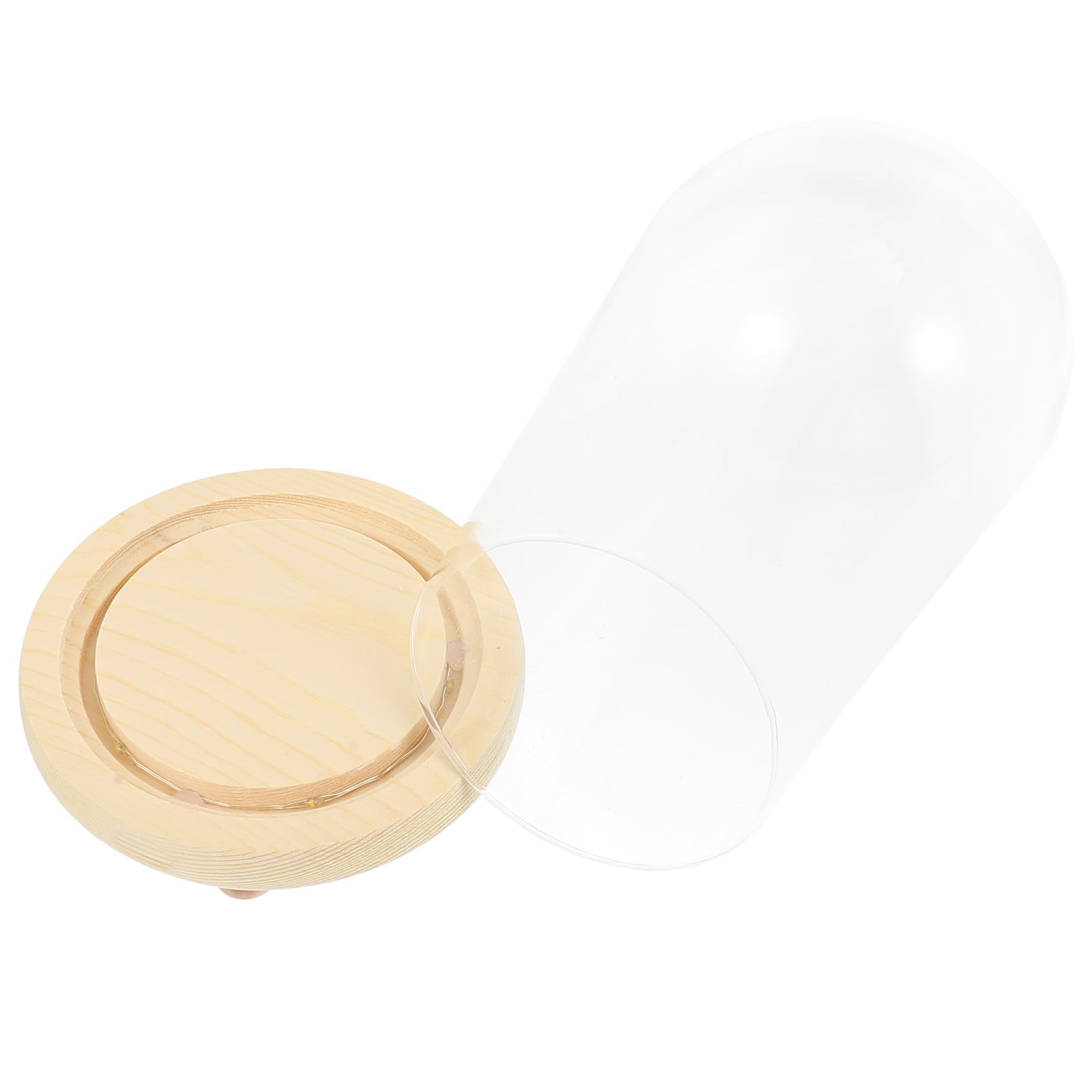Cloche en verre pour fleurs préservées cloche protection anti poussière