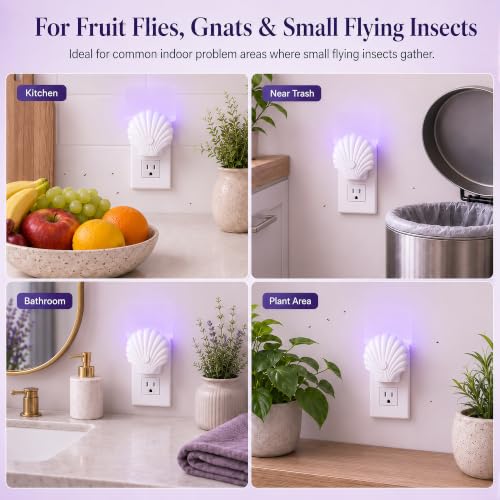 Image of LFSYS Fruit Fly Traps for House Indoors 2 Device+20 Refills (Scallop)