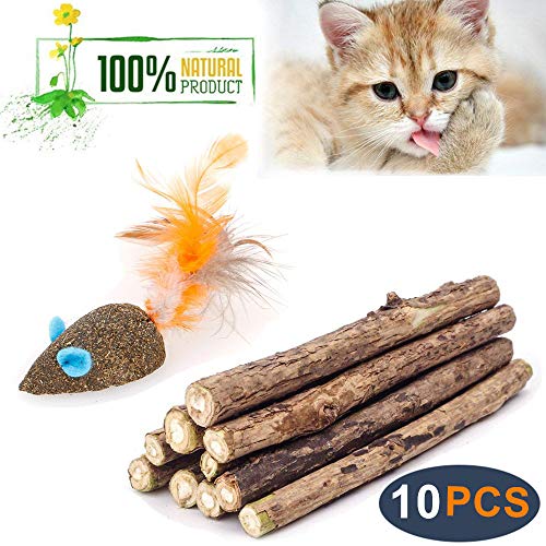Cat Catnip Sticks Natural Matatabi Silvervine Sticks - Cleaning Teeth Molar Tools Kitten