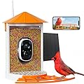 Birdkiss Smart Bird Feeder with Camera Solar, Auto Capture Bird Videos & Motion Detection, Birds Watching Camera Notify in Time, Metal Birds Feeder with Seed Guard, Ideal Present for Mom (Orange)