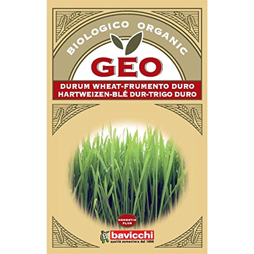 Geo Semillas de Trigo Duro para Germinar, Marrón