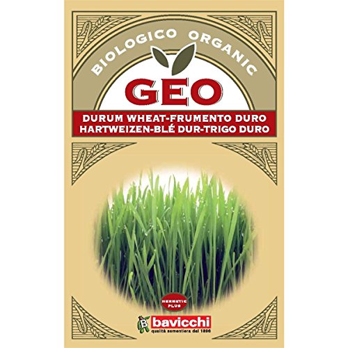 Geo ZCR0103 "Durum Wheat Sprouting" Seeds Packet - Brown