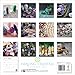 Healing Crystals Wall Calendar 2024 (Art Calendar)