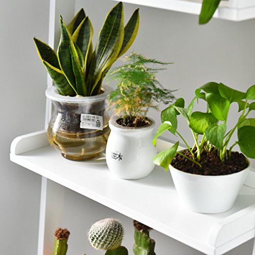 image for Tangkula Ladder Bookcase 5-Tier Wood Leaning Shelf Wall Plant Shelf La