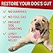 PAWFECTCHEW Dog Probiotics and Digestive Enzymes - Seasonal Allergy Support - Dog Gut Health Probiotics + Prebiotics for Dogs Digestive Health - Prevents Grass Burns