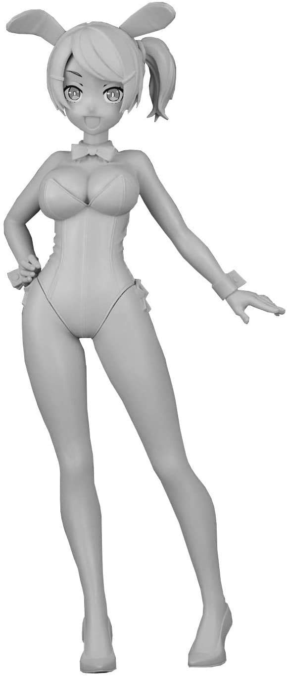 Amazon | ハセガワ 1/12 たまごガールズコレクション No.14