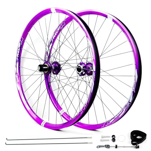 Paire De Roues Aluminium Malvestiti 26 Pouces, VTT, 8 Vitesses, Disque, Campagnolo, Italie