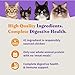 Halo Holistic Cage Free Chicken Cat Food, Grain Free Dry Cat Food, For Healthy Weight Support, Kibble for Indoor Cats, 3 lb Bag