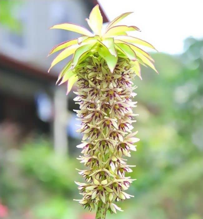 View 2
