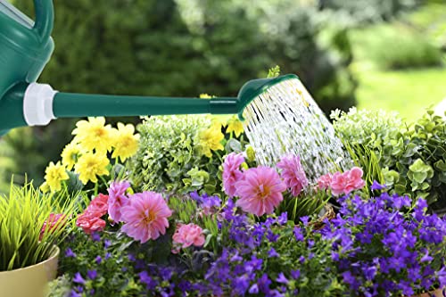 Watering Can for Indoor & Outdoor Plants, 1 Gallon Garden Watering Can for House Plants Garden Flower, Small Watering Can Indoor with Long Spout and Detachable Sprinkler Head - Dark Green - Thumbnail 7
