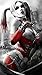 Harley Quinn Batman Arkham City Fabric Cloth Rolled Wall Poster Print -- Size: (43" x 24" / 24" x 13")