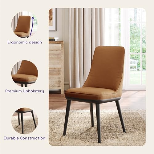 Image of Wakefit Kova Dining Chair - Robin Tan