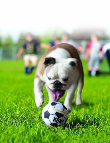 Brinquedo Bola Kong Sports Pp