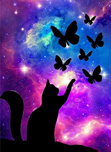 Lapoea DIY Oil Painting Paint by Number Kits Painting for Adult Digital Oil Painting DIY Cat and Butterfly Oil Painting Set, Suitable for Adults, and Beginners Decorative painting16x20 inchâ€¦