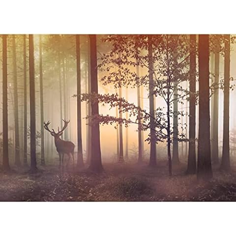 Papel tapiz fotográfico niebla bosque ciervos Cover