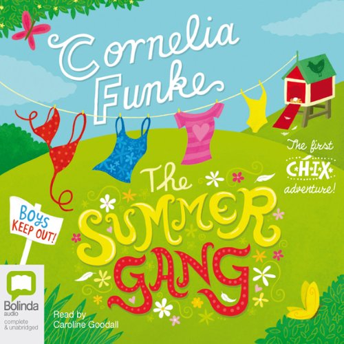 Cover art for The Summer Gang
