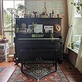 Eclectic Menagerie