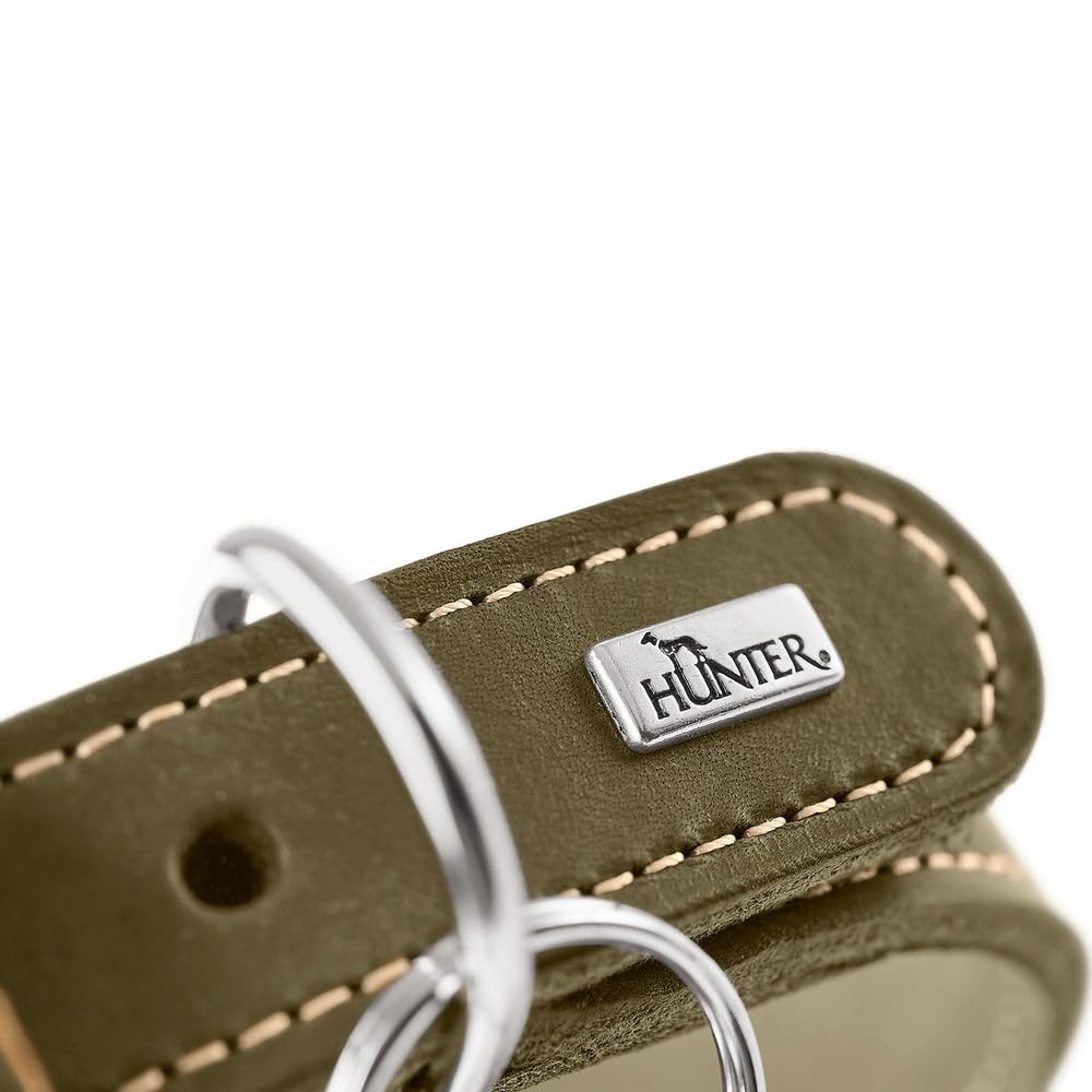HUNTER Collar para Galgos Aalborg Color Oliva, Piel Suave Resistente, Ideal para Galgos, diseño Que distribuye la presión, Protege la Garganta, Fabricado en Alemania, Talla 52