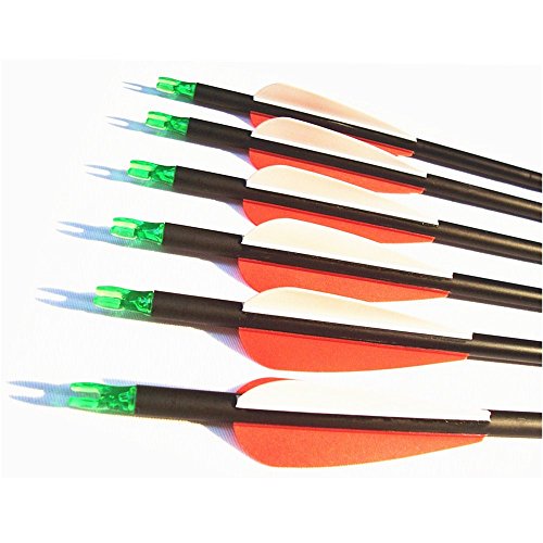 Fay Outdoor Sport 12pk 600 Spine Carbon Arrows Archery Hunting Targeting Arrow with 100 Grain Points for Compound Recurve and Long Bow with Extra Field Tips (30 Inch)