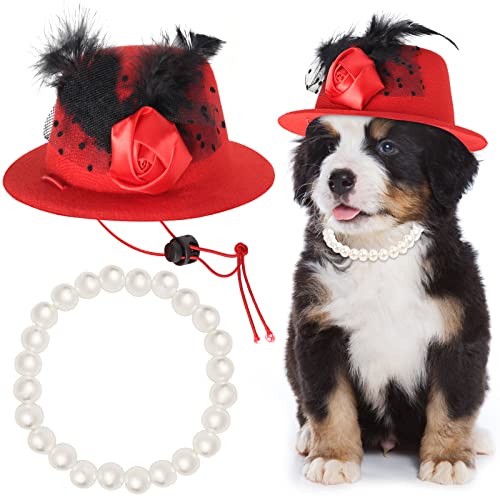 Sombrero y collar de disfraz formal para mascotas Yewong