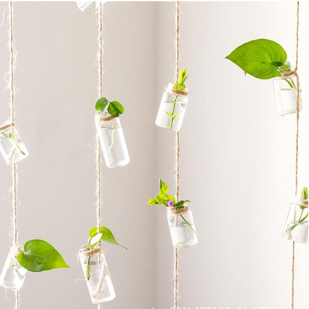 壁掛け伝播ステーション ガラスプランター 吊り下げ式試験管花瓶 ハイドロポニックプラント用カッティングホームオフィスガーデンデコレーション 8 3cm 正規店仕入れの 壁掛け伝播ステーション ガラスプランター 吊り下げ式試験管花瓶 ハイドロポニックプラント用カッティングホームオフィスガーデンデコレーション 8 3cm 正規店仕入れの
