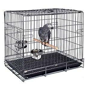 Durable Easy Portable Collapsible Metal Travel or Veterinary Collapsable Parrot Bird Carrier Beaks-Proof Easy Clean Carrier Cage with Stainless Steel Feeder Bowls Natural Wooden Perch