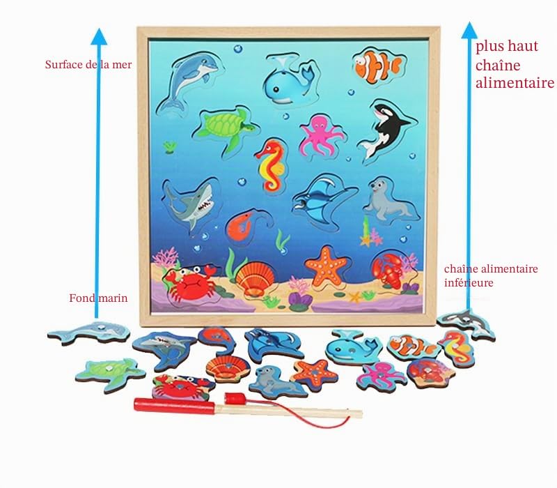 Jeu de pêche magnétique Jouet d'activité motrice Jeu de pêche au poisson ONE SIZE Jeu de pêche magnétique Jouet d'activité motrice Jeu de pêche au poisson ONE SIZE