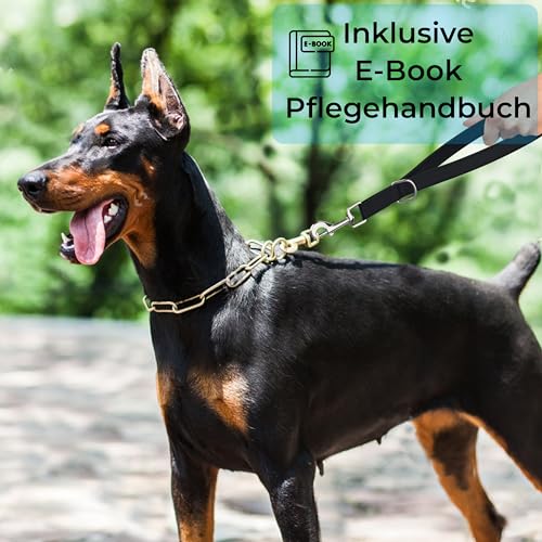 Testnote: Sehr gut - Kurzführer Hund 32cm I Wetterfest aus Biothane und Neopren Polsterung I Griffstück für Golden Pets Hundeleine I Hundeleine kurz kleine - große Hunde