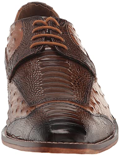 STACY ADAMS Men's Fanelli Wingtip Oxford2