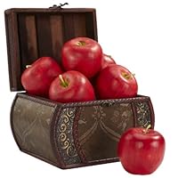 Algopix Similar Product 3 - Nearly Natural 2139 Decorative Faux