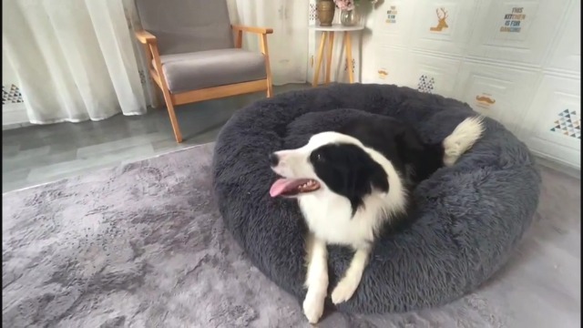 Pink Dog Beds for Small Dogs with Blanket Attached,Small Pet Bed Washable Calming Faux Fur Burrow Doggie Beds for… - Image 8