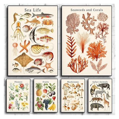 Affiche de collection vintage fleurs et champignons pour déco salon zen - 3