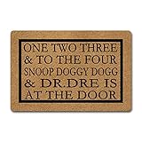 NICESIR Welcome Mat One Two Three and to The Four Snoop Doggy Dogg Funny Doormat for Home Entrance (23.6 X 15.7 inch) Fabric Top with Rubber Back Doormat for Front Door Indoor Outdoor Rug