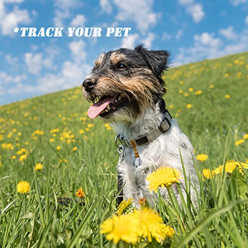 Image of Dog Cat Collar Copper Bell Pet Tracker Noise Maker /Leather Crafters Country Grazing Cow Bell for Pet Anti-Lost Pendant ID Tags for Pet Training Tracker Christmas New Year's Eve(M)(Silver)