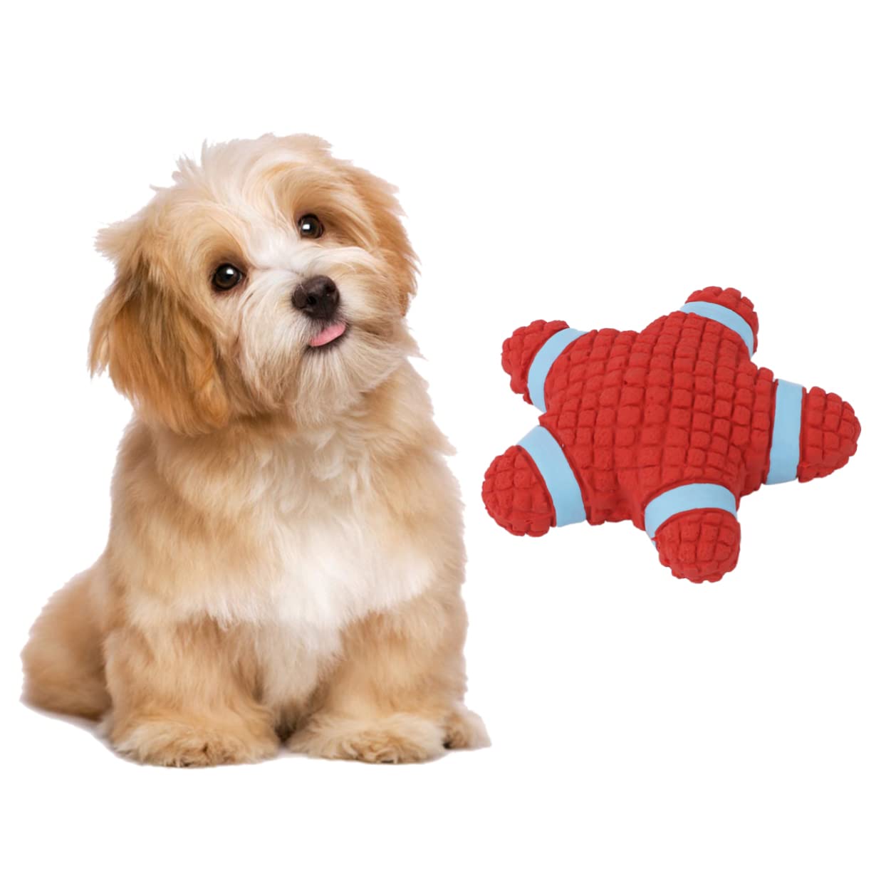 BESPORTBLE 3pezzi Interattivo Lattice Per Domestici Squeaker Per Stimolante e Resistente Per Masticare e Giocare