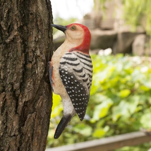 SHAODIE Outdoor Resin Bird Statue, Hanging Tropical Bird, red-Bellied Woodpecker