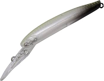 Amazon.co.jp: ディスプラウト(Daysprout) イーグルプレーヤー