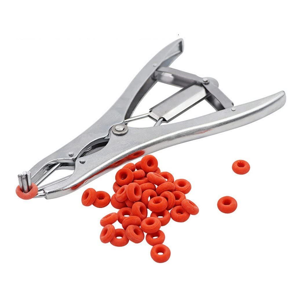 Pinza per castrazione Anello 100 pezzi Anello di gomma per coda di taglio cerchio elastico per castrazione per ovini bovini da fattoria