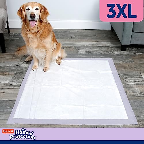 Image of Hartz Home Protection Lavender Scented Dog Pads, 3XL 30 Count, Super Absorbent & Won't Leak, Odor Eliminating (Pack of 2)