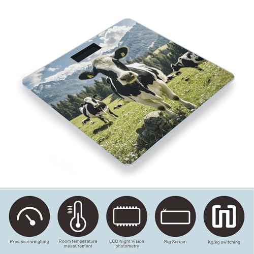 Báscula digital de baño de vidrio templado diseño vaca miniatura 3