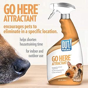 OUT-PetCare-Go-Here-Attractant-Indoor-and-Outdoor-Dog-Training-Spray-House-Training-Aid-for-Puppies-and-Dogs-32-oz - Cucciolini Doodles   OUT-PetCare-Go-Here-Attractant-Indoor-and-Outdoor-Dog-Training-Spray-House-Training-Aid-for-Puppies-and-Dogs-32-oz