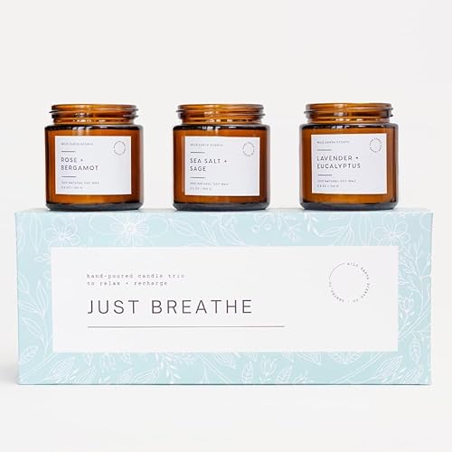 Juego de 3 velas perfumadas de aromaterapia, juego de regalo de velas Just Breathe para mujeres, cera de soja vertida a mano con aceites esenciales,