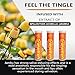 Xero Picks Wellness - Infused Flavored Toothpicks - Dry Mouth Prevention - 60 Picks - 3 Pack - Orange - Immunity Support - Vitamin C, Elderberry, Zinc